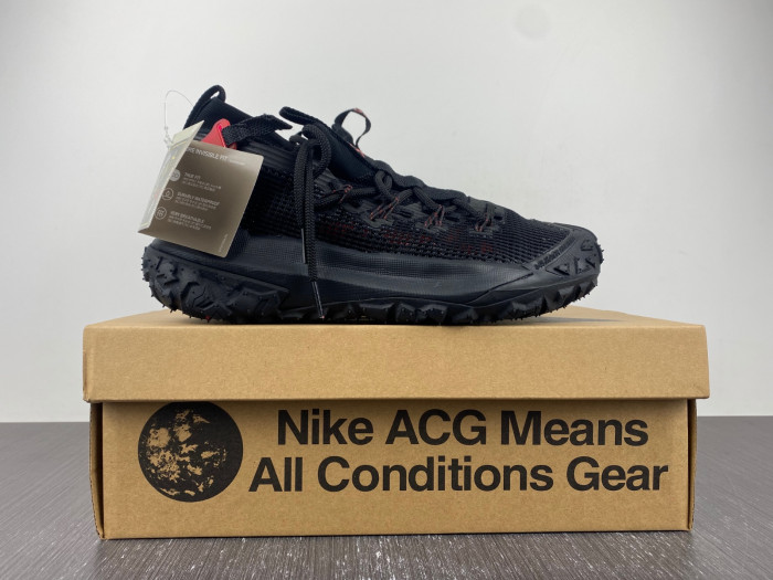Nike ACG MOUNTAIN FLY LOW 