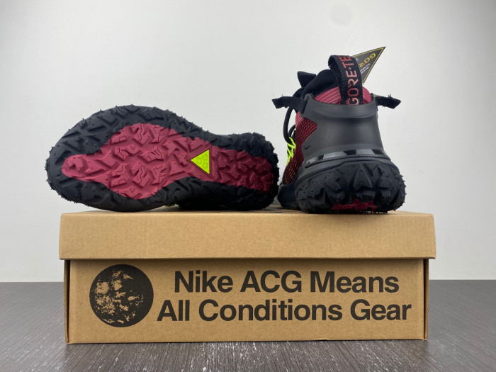 Nike ACG MOUNTAIN FLY LOW 
