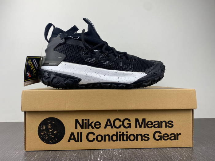Nike ACG MOUNTAIN FLY LOW 