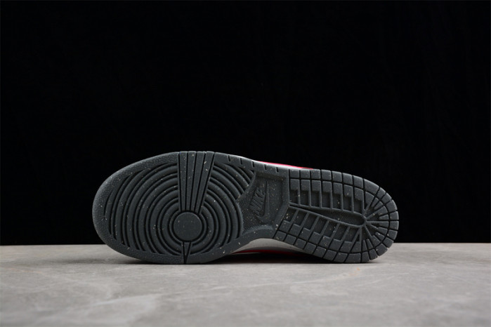 Nike DUNK LOW NEXT NATURE GS 