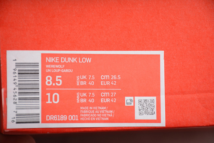 Nike Dunk Low "CAU" DR6189-001