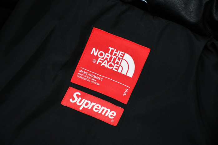 S*p*e x the n0*h f**e 17fw leather nuptse jacket
