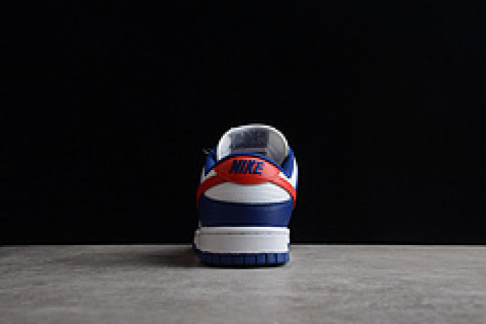 NIKE DUNK LOW "USA" DD1503-119